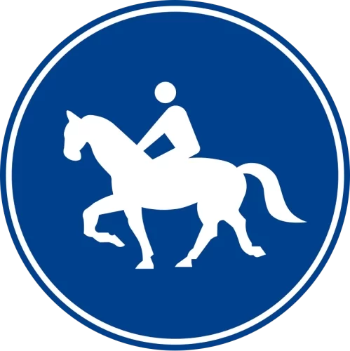 MECBURİ ATLI YOLU